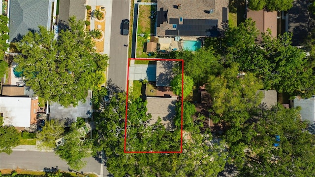 1155 Withlacoochee St, Safety Harbor, FL 34695 - bird's eye view