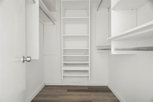 2616 Cove Cay Dr Unit 803, Clearwater, FL 33760 - walk in closet featuring wood finished floors