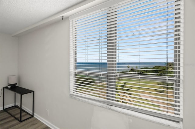 2616 Cove Cay Dr Unit 803, Clearwater, FL 33760 - detailed view of a large body of water, a textured ceiling, wood finished floors, and baseboards