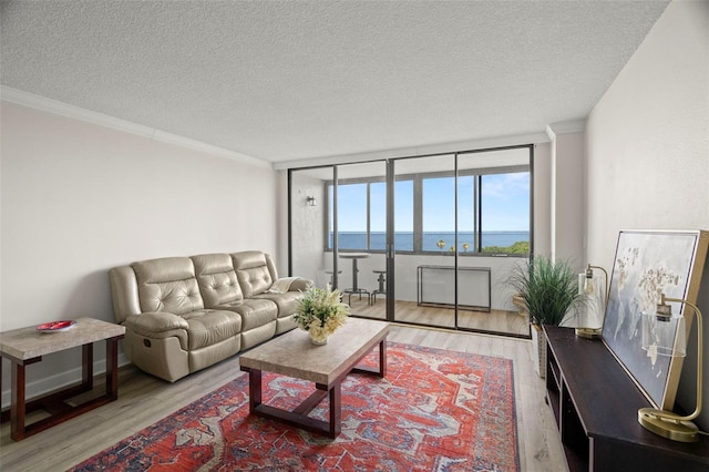 2616 Cove Cay Dr Unit 803, Clearwater, FL 33760 - living area with a textured ceiling, light wood finished floors, ornamental molding, and a water view