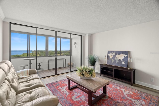 2616 Cove Cay Dr Unit 803, Clearwater, FL 33760 - living area with wood finished floors, a textured ceiling, and baseboards