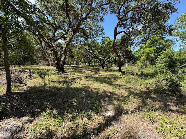 Tannahill St, Dade City, FL 33523 - photo 1