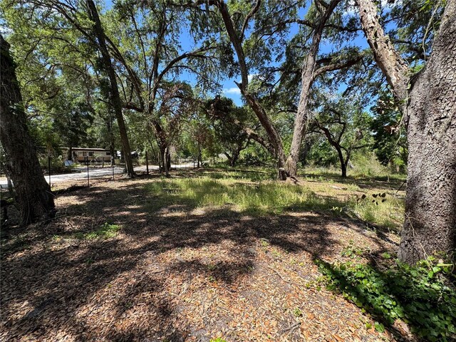 Tannahill St, Dade City, FL 33523 - photo 3