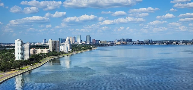 3301 Bayshore Blvd Unit 2401E, Tampa, FL 33629 - property view of water featuring a view of city