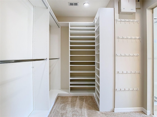 1705 Plantation Pointe Dr, Orlando, FL 32824 - walk in closet featuring carpet flooring