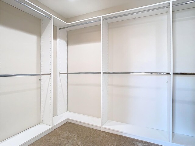 1705 Plantation Pointe Dr, Orlando, FL 32824 - walk in closet featuring carpet floors