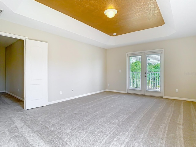 1705 Plantation Pointe Dr, Orlando, FL 32824 - empty room featuring carpet and a tray ceiling