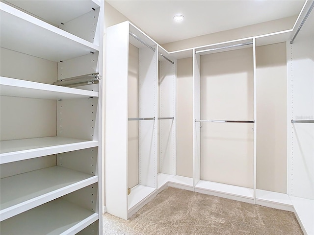 1705 Plantation Pointe Dr, Orlando, FL 32824 - spacious closet featuring carpet