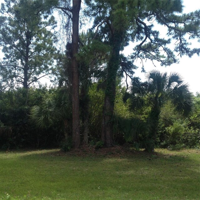 N Bayshore Dr, Safety Harbor, FL 34695 - photo 8