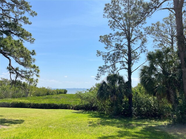 N Bayshore Dr, Safety Harbor, FL 34695 - photo 3