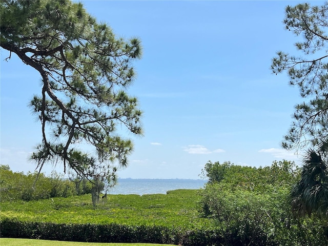 N Bayshore Dr, Safety Harbor, FL 34695 - photo 1