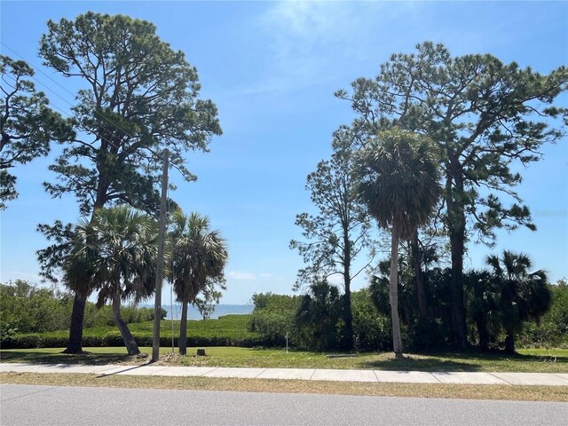 N Bayshore Dr, Safety Harbor, FL 34695 - photo 7