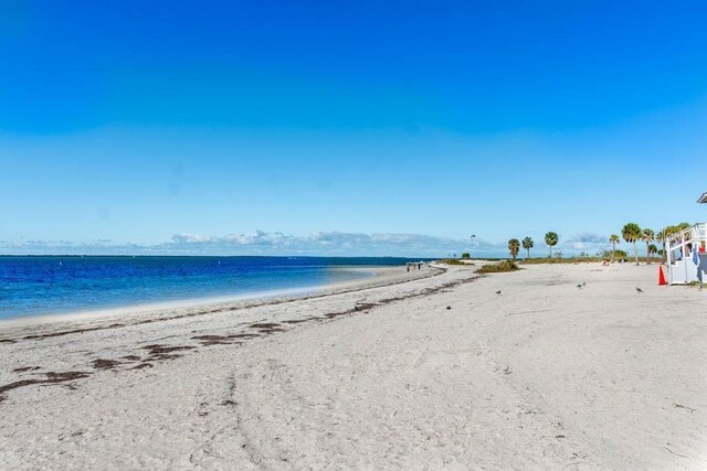 228 Shore Dr, Tarpon Springs, FL 34689 - photo 68