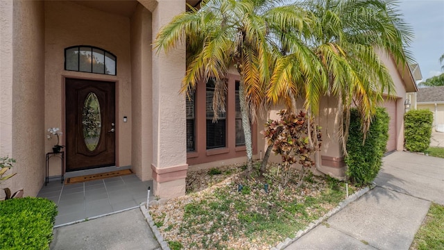 entrance to property featuring stucco siding