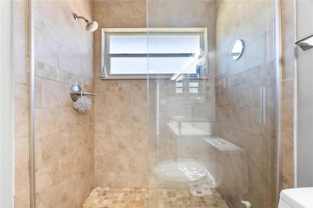2525 Madrid Way S, Saint Petersburg, FL 33712 - full bathroom with toilet and a stall shower