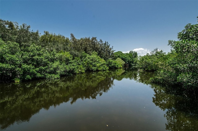 water view with a view of trees