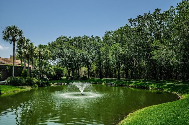 property view of water