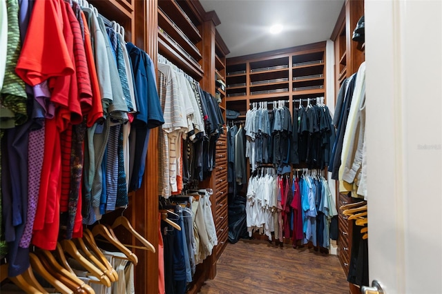 walk in closet featuring wood finished floors