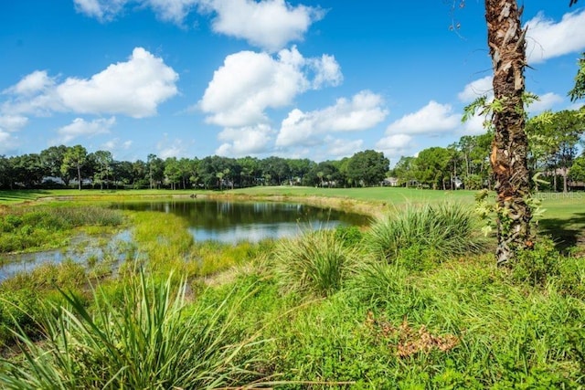 3119 Bent Creek Dr, Valrico, FL 33596 - water view