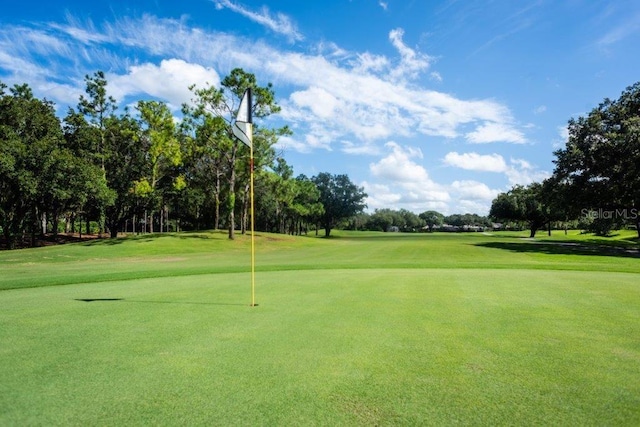 3119 Bent Creek Dr, Valrico, FL 33596 - surrounding community with golf course view, a yard, and view of scattered trees