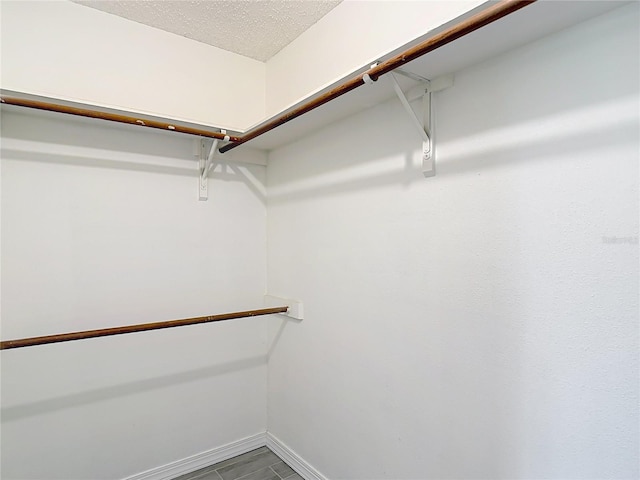 1530 High Knoll Dr, Brandon, FL 33511 - view of walk in closet