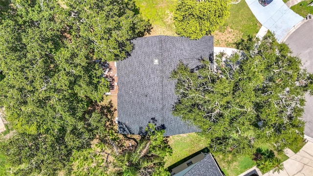 1530 High Knoll Dr, Brandon, FL 33511 - view from above of property
