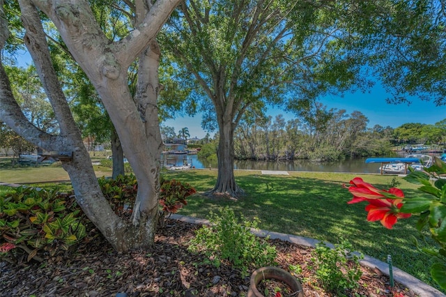 3133 Pineview Dr, Holiday, FL 34691 - photo 1
