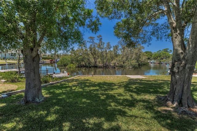 3133 Pineview Dr, Holiday, FL 34691 - photo 40