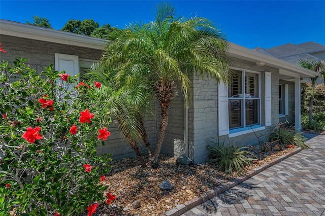 3133 Pineview Dr, Holiday, FL 34691 - photo 7