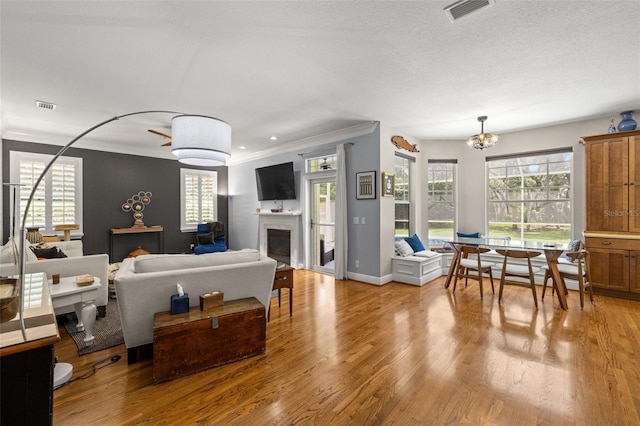 5902 Audubon Manor Blvd, Lithia, FL 33547 - living area featuring a glass covered fireplace, light wood-type flooring, crown molding, a chandelier, and baseboards