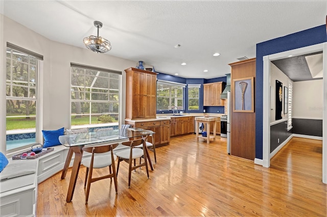 5902 Audubon Manor Blvd, Lithia, FL 33547 - kitchen featuring a sink, brown cabinetry, light wood-type flooring, light countertops, and recessed lighting