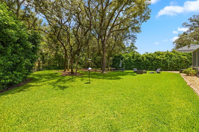 5902 Audubon Manor Blvd, Lithia, FL 33547 - view of green lawn