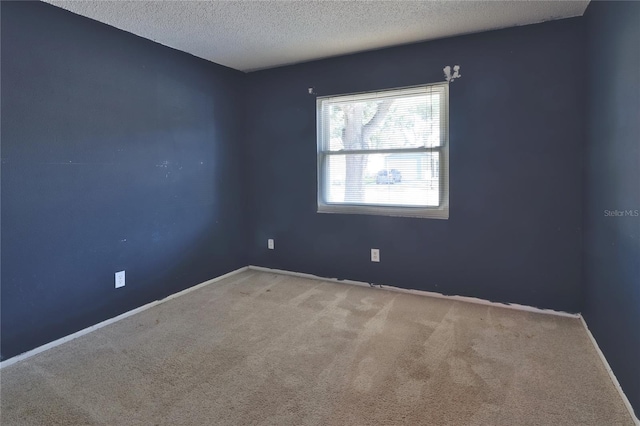1915 Peppertree Dr, Oldsmar, FL 34677 - spare room featuring a textured ceiling, carpet flooring, and baseboards