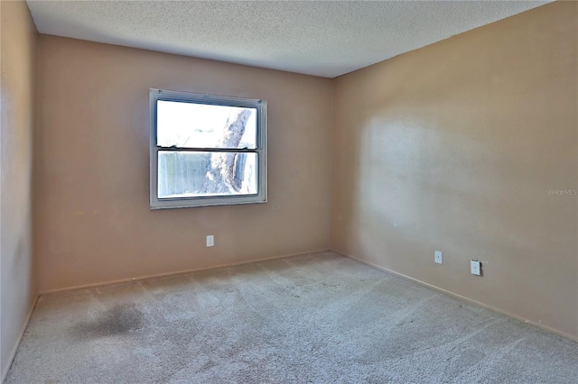 1915 Peppertree Dr, Oldsmar, FL 34677 - carpeted empty room featuring baseboards and a textured ceiling