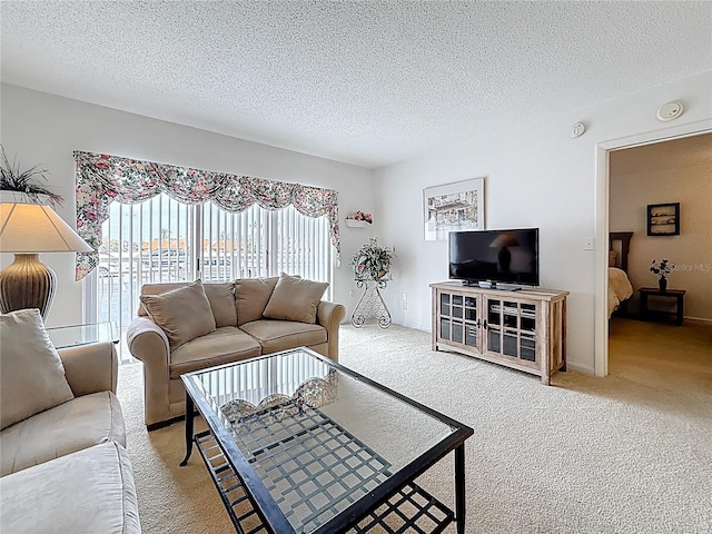 carpeted living area featuring a textured ceiling