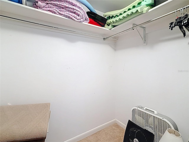walk in closet with carpet floors