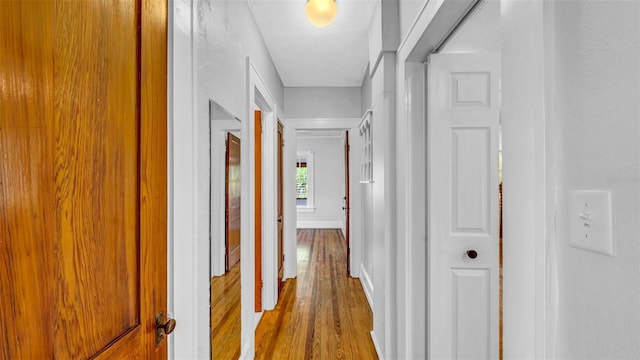220 19th Ave S, Saint Petersburg, FL 33705 - photo 25