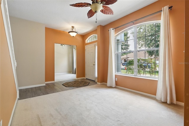 11716 Summer Springs Dr, Riverview, FL 33579 - foyer with carpet floors, a ceiling fan, plenty of natural light, and baseboards