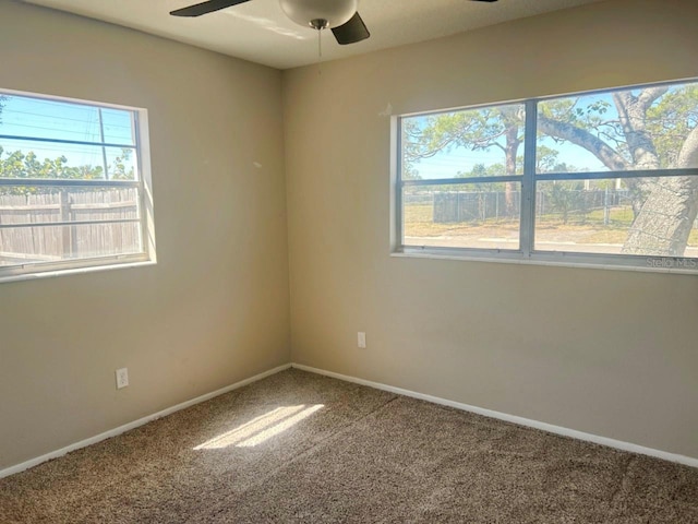 3851 72nd St N, Saint Petersburg, FL 33709 - photo 16