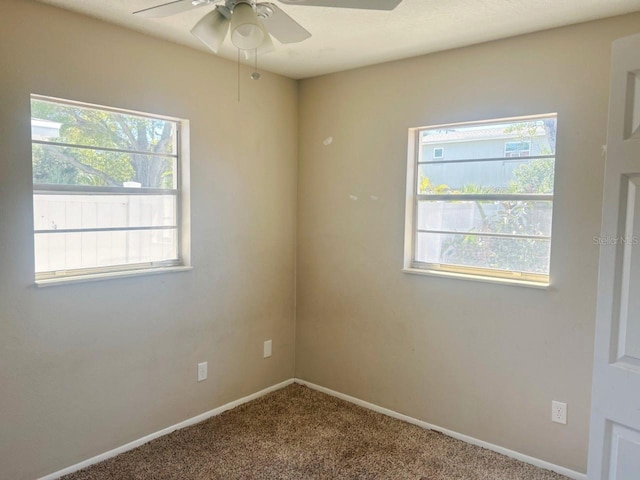 3851 72nd St N, Saint Petersburg, FL 33709 - photo 20