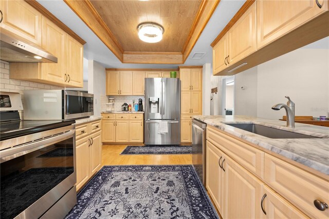 kitchen with light brown cabinetry, a tray ceiling, a sink, and appliances with stainless steel finishes