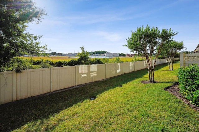view of yard with a fenced backyard