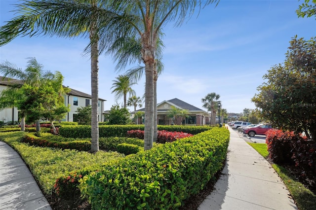 11548 Crowned Sparrow Ln, Tampa, FL 33626 - view of side of property