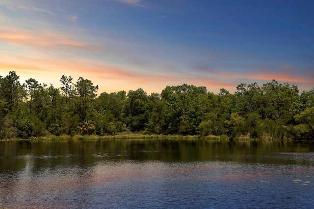 property view of water featuring a wooded view