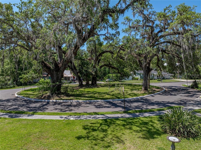 131 Oak Park Ave, Brooksville, FL 34601 - view of home's community with a lawn