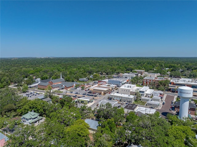 131 Oak Park Ave, Brooksville, FL 34601 - aerial view with a wooded view