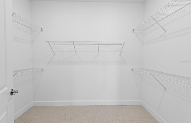 17200 Luminous Ave, Venice, FL 34293 - walk in closet featuring light colored carpet