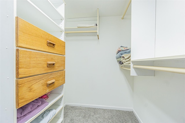 4137 Northmeadow Cir, Tampa, FL 33618 - spacious closet with carpet floors