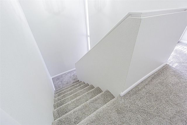 4137 Northmeadow Cir, Tampa, FL 33618 - stairway featuring baseboards and carpet flooring