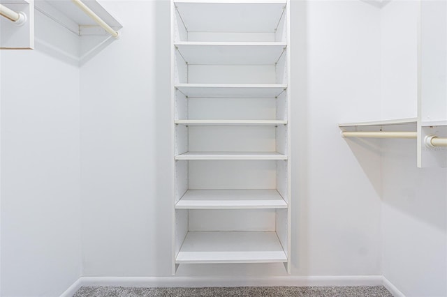 4137 Northmeadow Cir, Tampa, FL 33618 - view of spacious closet